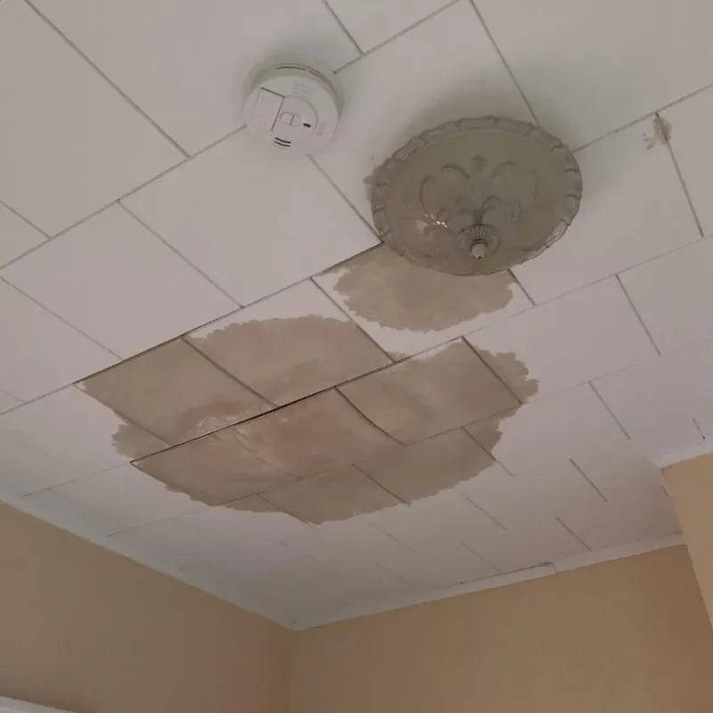 Ceiling Water Damage Repair in Nutter Fort, WV
