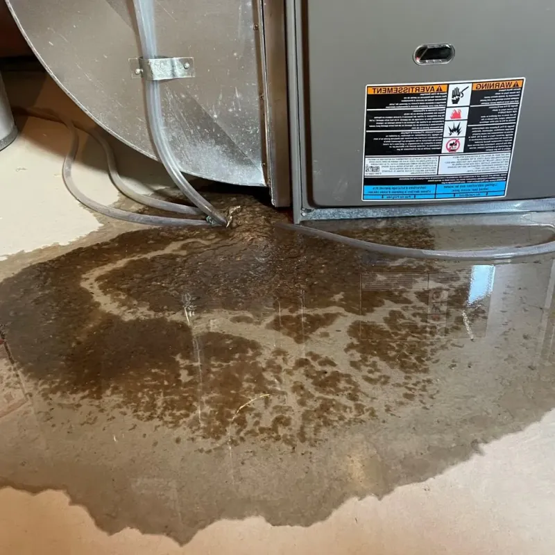 Pipe Burst and Leak Restoration in Nutter Fort, WV