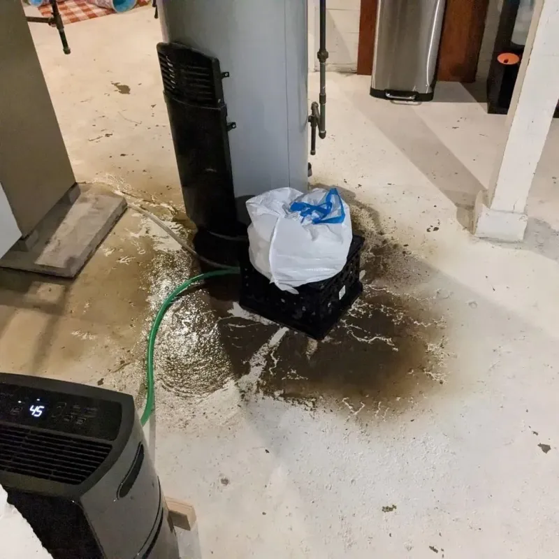 Sewage Backup Cleanup Service in Nutter Fort, WV